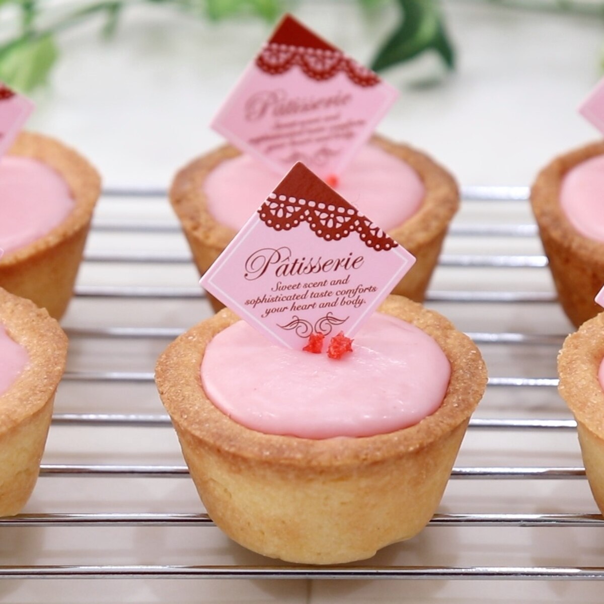 バレンタインにプチストロベリーの生チョコタルト レシピ 作り方 By たけ民キッチン 楽天レシピ バレンタインにプチストロベリーの生チョコタルト レシピ 作り方 By たけ民キッチン 楽天レシピ